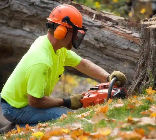 tree services Fairplains